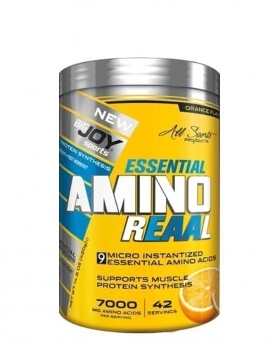 Bigjoy Essential Amino Reaal 420gr