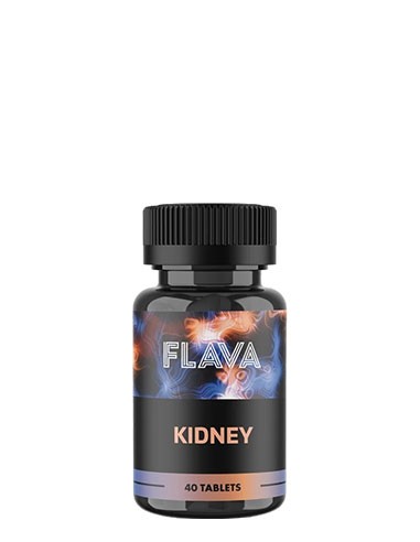 Proteinocean Kidney 40 Tablet