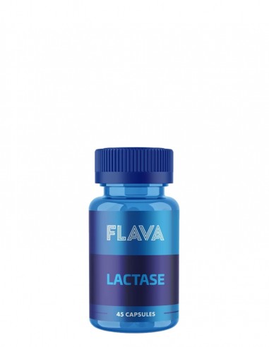 Proteinocean Lactase 45 Kapsül