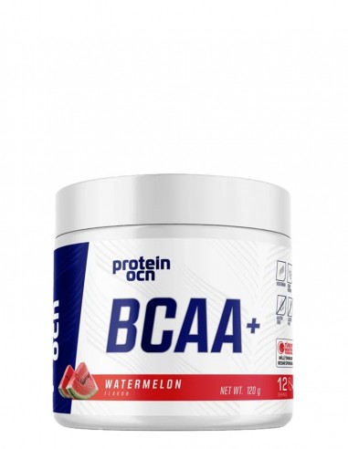 Proteinocean BCAA+ 120gr