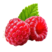 Xpro Noxzilla Pre-Workout 1080gr Ahududu