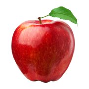 On The Go Progel + Electrolyte 24 x 60ml Elma