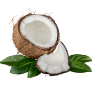 Fitnut Soğuk Sıkım Hindistan Cevizi Yağı 300gr Hindistan Cevizi