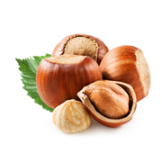 FitNut Şekersiz Fındık Ezmesi 255gr Fındık