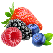 On The Go Pre Workout 15gr x 20 Saşe Orman Meyveleri