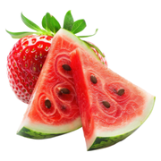 Universal Animal Primal Pre-Workout 507gr Çilek & Karpuz