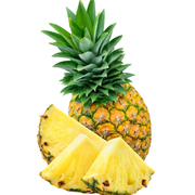Olimp BCAA Xplode Powder 500gr Ananas