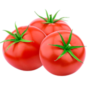 Dr Pan Şekersiz Ketçap 520gr Domates