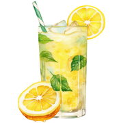 Proteinocean Pre-Workout Supreme 280gr Limonata