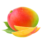 Xpro Large Performans Paketi Mango