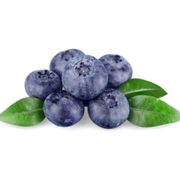 Bite&More Proteinli Pankek Yaban Mersinli 50gr x 12 Adet Yaban Mersini