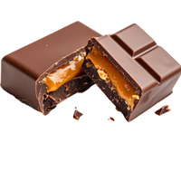 Grenade High Protein Bar 12 Adet Salted Karamel & Çikolata