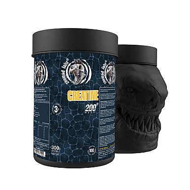 Zoomad Labs Creatine 300gr